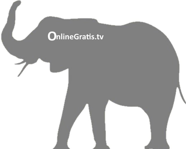 elefante