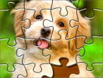  Puzzle de perros